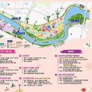 봄꽃체험코스 이미지