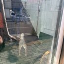 빵그라미