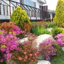 펜션델리앙 이미지