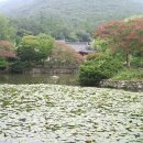 소쇄처사 양산보, 대숲에 앉아서 귀거래사를 읊다 / 김세곤 이미지