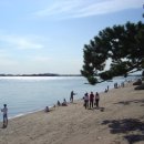 톱머리 펜션 이미지