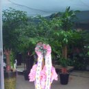 그린한방허브 이미지