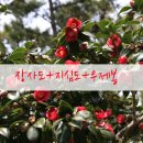 누비하우스1 이미지