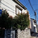 굿모닝민박2 이미지