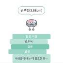 1월에 읽은 소설책들 이미지