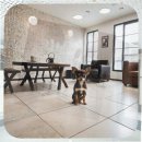 가평종합운동장 가평행복구장 | 가평군 강아지분양 결정 전 꼭 확인해야 할 현실적 고려사항