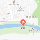 은파랑여행사