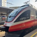 해설이 있는 음악회 ''독일의 여름'' | 독일오스트리아여행8 판도르프 아울렛, 모차르트 음악회, 타펠슈피츠 맛집, 슈테판 대성당, 나비 하우스