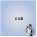 열매약국 | 인동초 효능과 금은화 꽃 열매 먹는 법 부작용까지 깔끔 정리
