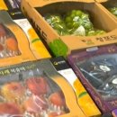 청춘과일 이미지