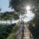 건강에 중요한 &#39;멜라토닌&#39; 이미지