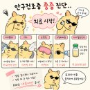피플피 | 안구건조증 중증 치료 내돈내산 후기 및 리피플로우 IPL 등 정보공유