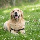 방주동물병원 이미지