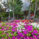 (주)장보고식자재마트(성서점)