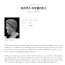 베르시무스 이미지