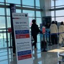 대련여행 아시아나 탑승 후기 및 정보 (셀프백드롭)