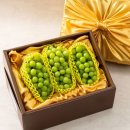 샤인광고 이미지