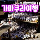 가마쿠라 여행 :: 사스케이나리신사, 쓰루가오카하치만궁