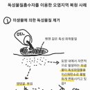 (주)제트유엔