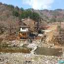 내린천의 봄 이미지