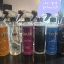 워시포커스 이미지