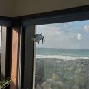 하늘고래블루 이미지