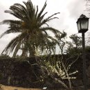 생각하는 정원 이미지