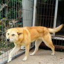 진동안집 이미지