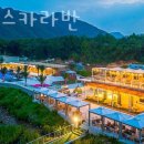 넵투누스 카라반