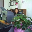 현대부동산중개 이미지