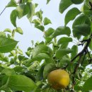 잘커농장 이미지