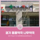 나무동물약국 이미지