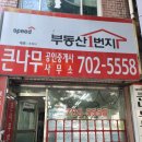 롯데큰나무공인중개사사무소 이미지