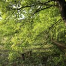 나무다락방 민박 이미지