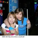 여우바라기 이미지