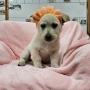 안골로108번길 이미지