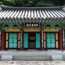 유림모사