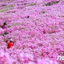 노단리(장수)