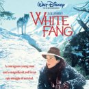 늑대 개 (1991) White Fang 어드벤처 | 미국 | 107 분 | 이미지