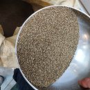 탑골막국수 | 속초 여행 중 방문하기 좋은 들깨를 직접 짜서 만드는 막국수 맛집, 속초탑골막국수 후기