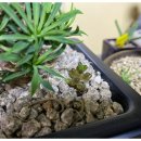 마옥농장 이미지