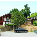 대숲속으로 이미지