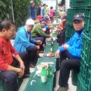 산울림 농장 이미지