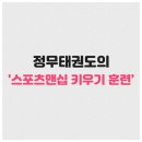 정무태권도 이미지