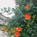 하조델리앤스테이 | 이국적 감성 챙기고 싶은 양양 에어비앤비 숙소 추천 '하조델리앤스테이'