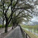 도림천 산책로5 이미지