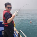 제주도이호바다배낚시체험 이미지