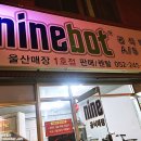 울산 데이트코스 : 태화강대공원 왕발통 세그웨이 타기 (몬스터휠,나인봇)