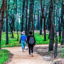 고운슈퍼 이미지