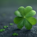 유정행정사 이미지